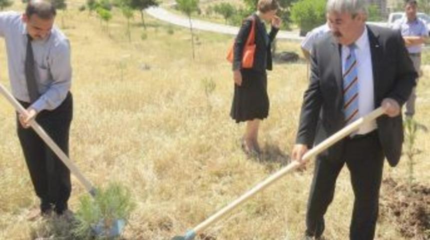 Sgk &Ccedil;alışanları Fidan Dikti