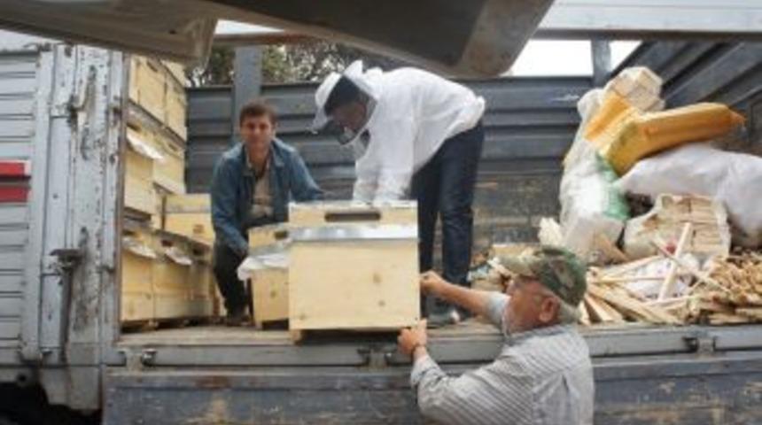 Katil Zanlısı Baba Tutuklandı