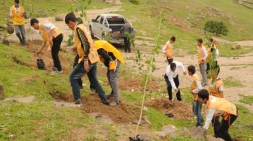 Cizre Kaymakamlığı'ndan Ağa&ccedil;landırma &Ccedil;alışması
