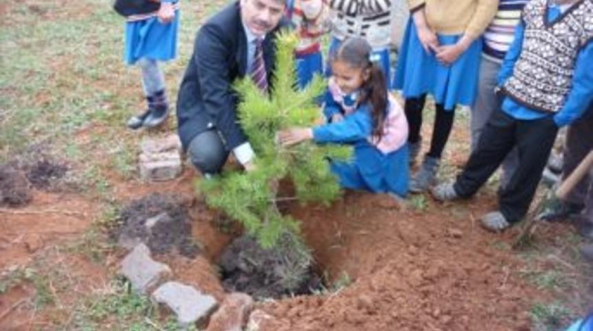 İlk&ouml;ğretim okulu bah&ccedil;esine "fidan dikimi"