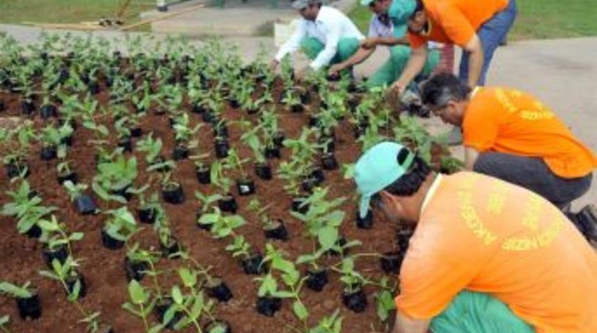 Akdeniz yaz mevsimine hazır