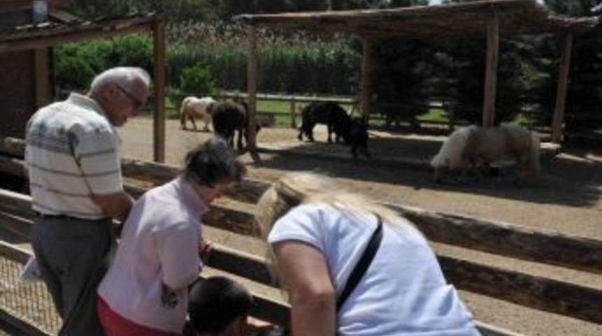 Engillilerin Sasalı Keyfi