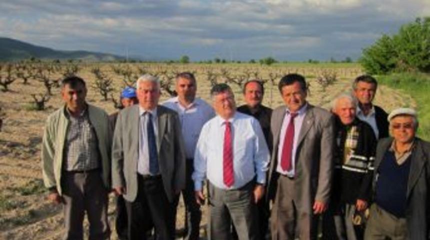 &Ccedil;al'da Don &Uuml;z&uuml;m Bağlarını Kuruttu