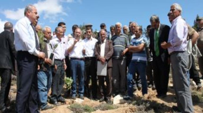 Silifke'de 3. Bal Ormanı Oluşturuldu