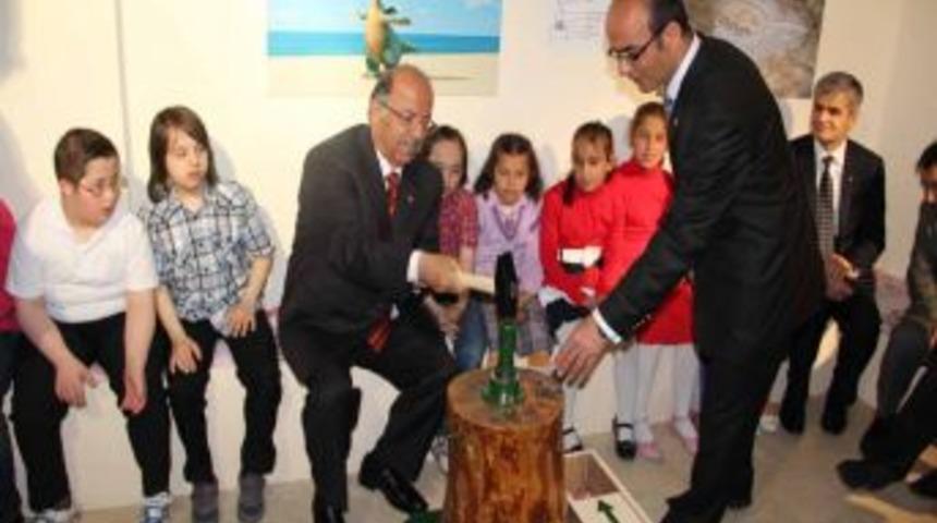 Vali Kolat, Arkeoloji M&uuml;zesi&rsquo;nde Para Bastı, Kazı Yaptı