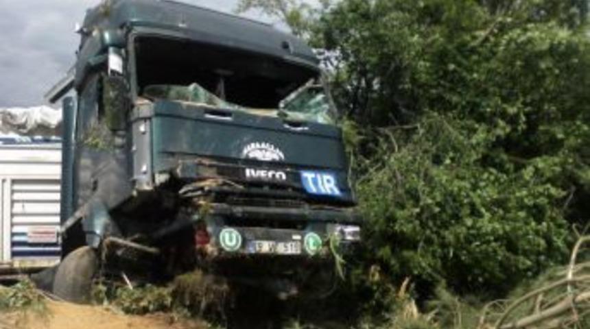 Şarampole Yuvarlanan TIR'ı Ağa&ccedil;lar Durdurdu