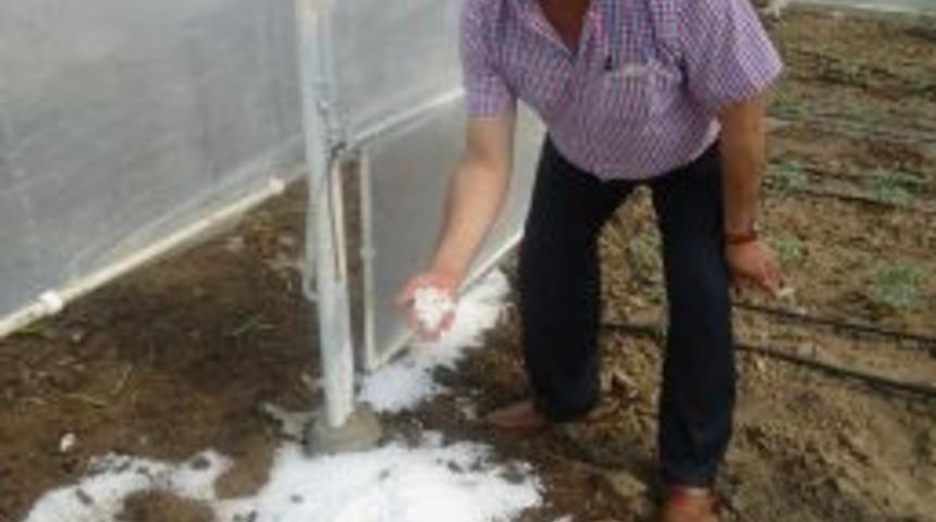 Ceviz B&uuml;y&uuml;kl&uuml;ğ&uuml;ndeki Dolu Ekili Alanlara Zarar Verdi