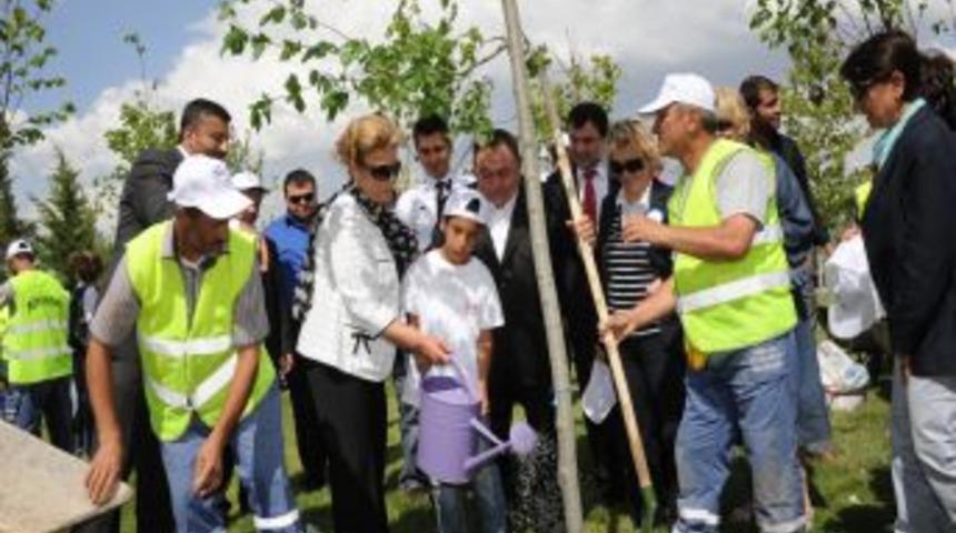 Sosyal Hizmetler Eğitim Ve Yardım Vakfı'ndan Anne Ve Gen&ccedil;lik Hatıra Ormanı