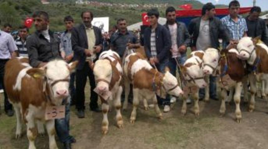 Posof'ta 19 Mayıs Coşkusu