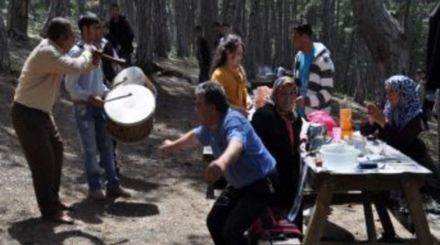 Piknik Alanlarında Davul Zurna &Ccedil;alarak Yevmiyelerini &Ccedil;ıkarıyorlar