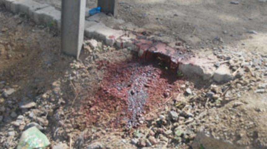 &Ouml;ld&uuml;r&uuml;p elektrik direğine astılar