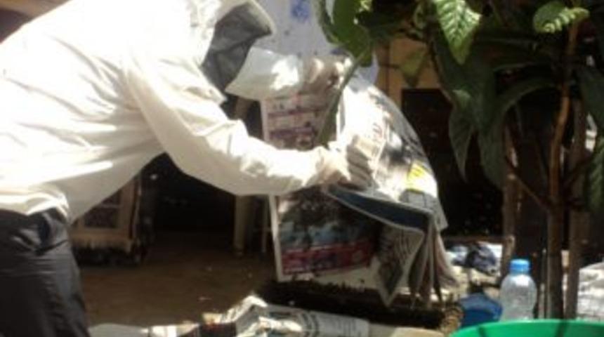 Belediye Ekipleri, &Ouml;ğrencileri Korkutan Arı Kovanını Imha Etti