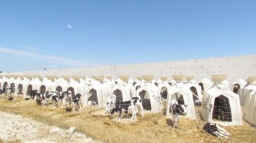 Anadolu Hastaneleri Grubu'ndan Hayvancılığa 10 Milyon TL'lik Yatırım