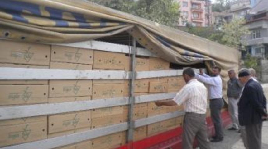 Samsun Gıda, Tarım Ve Hayvancılık İl M&uuml;d&uuml;rl&uuml;ğ&uuml; Sebze Fidesi Dağıttı