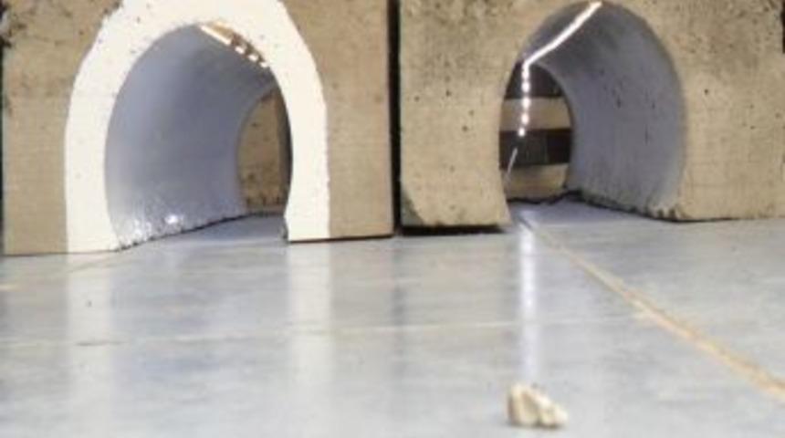 Karadenizli'den T&uuml;nellerin Işıklandırılmasında Tasarruf Sağlayan Ak Proje