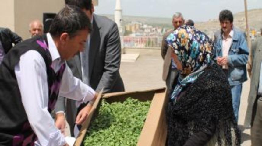 Vali İpek, Bayburt’ta Yerli Tohuma Destek Sözü Verdi