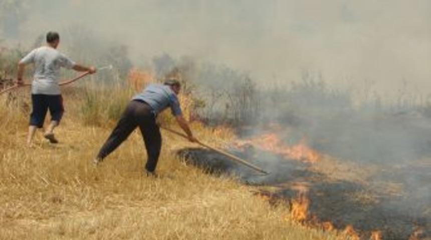 Anız Yangını S&ouml;nd&uuml;rmede K&ouml;p&uuml;kl&uuml; M&uuml;cadele Y&uuml;zde 100 Etkili Oluyor