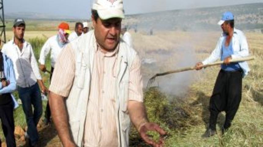 &Ccedil;ift&ccedil;iler Firik Festivali D&uuml;zenlenmesini İstiyor