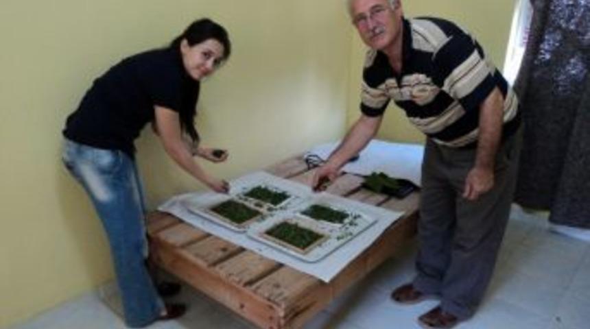 Dalaman'da İpekb&ouml;cek&ccedil;iliği Canlanıyor