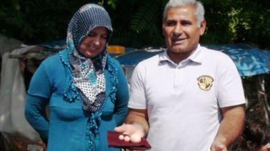 Tek Seferde &Ccedil;ift Yumurta Yumurtladı