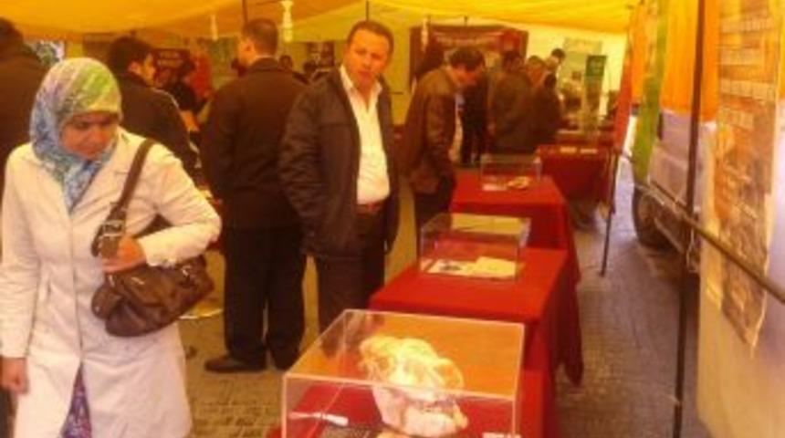 K&uuml;tahya'da Fosil Sergisi