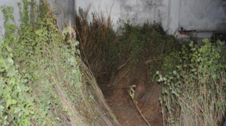 Hizan'da Bal &Uuml;retimine Destek