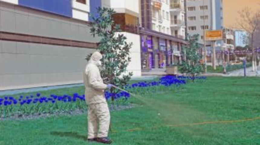 Beylikd&uuml;z&uuml; Yeşile Doyacak