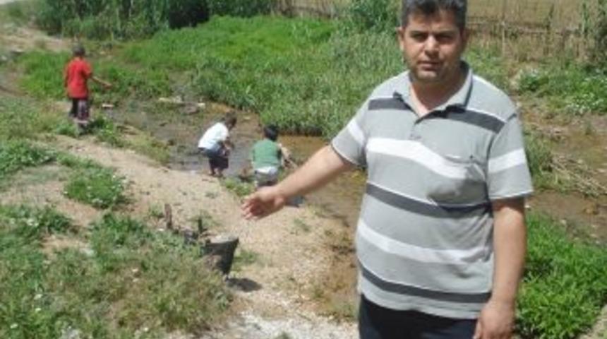Vatandaşa Yılan N&ouml;beti Tutturan Dere Islah Edilmeyi Bekliyor