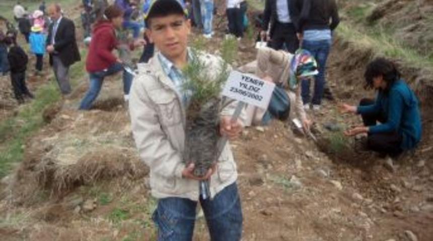 Korunmaya Muhta&ccedil; &Ccedil;ocuklar, Fidan Dikti