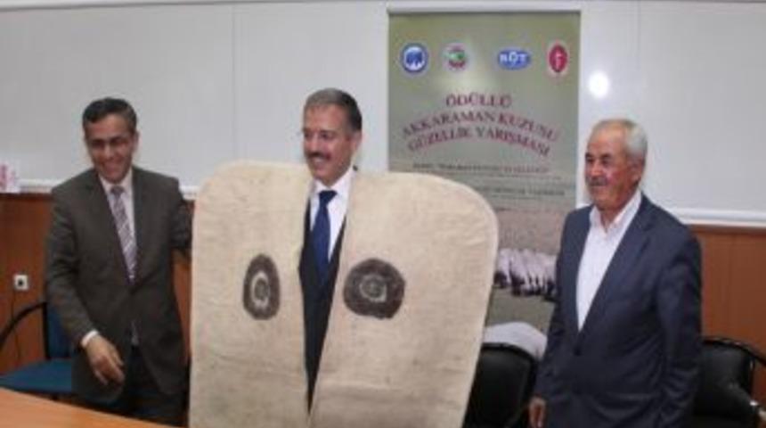 Karaman Koyunu'nun Geleceğiyle Ilgili Panel D&uuml;zenlendi