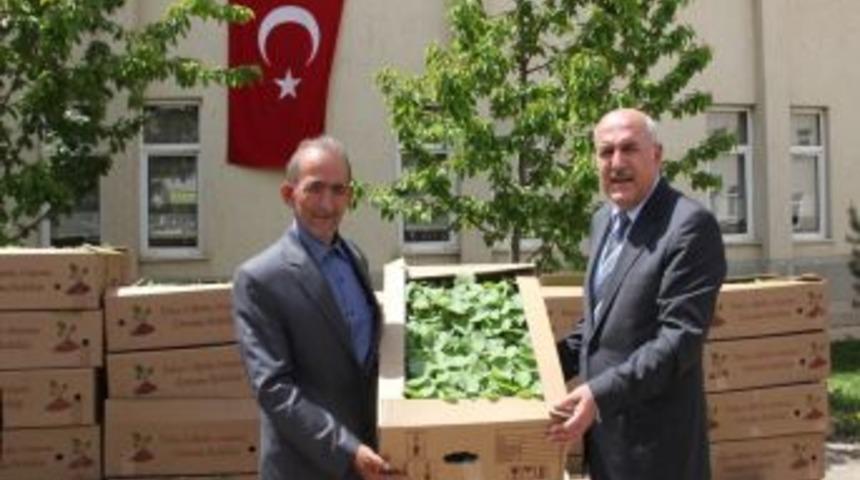 Sebzeciliği Geliştirmek İ&ccedil;in &Ccedil;ift&ccedil;ilere Fide Dağıtımı Yapıldı