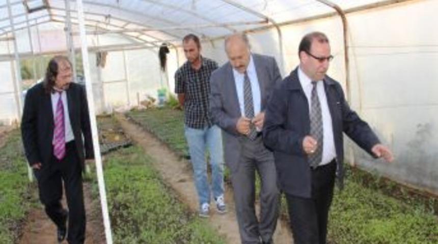 Başkan Polat, Belediye &Ccedil;i&ccedil;ek Serasını İnceledi