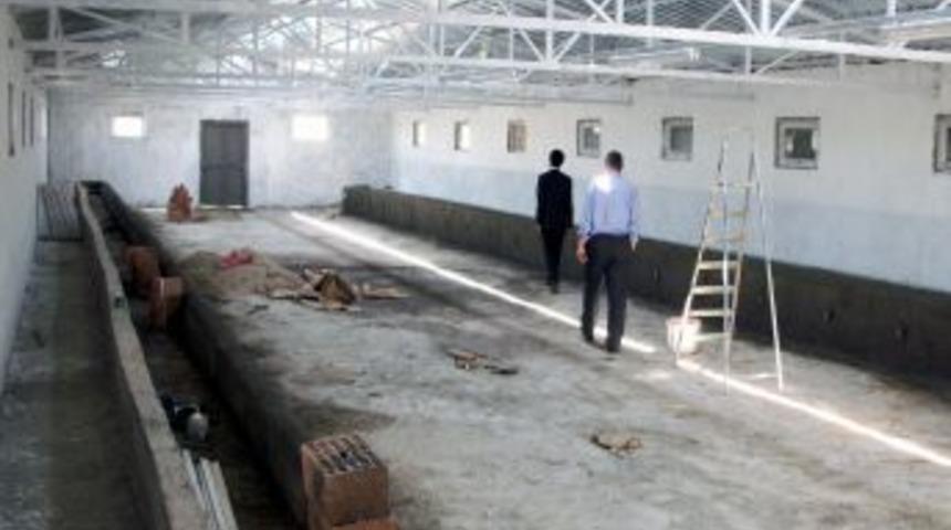 &Ccedil;ift&ccedil;ilere Ahır Ve Damızlık Hayvan Desteği