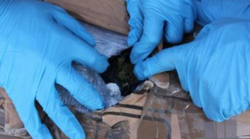 Kargo Aracından Esrar &Ccedil;ıktı