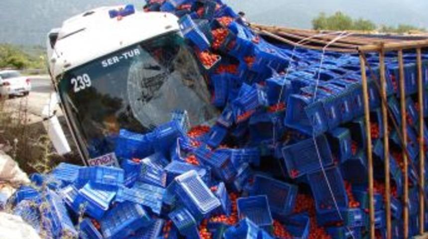 Turist Otob&uuml;s&uuml; Domates Y&uuml;kl&uuml; Kamyona &Ccedil;arptı