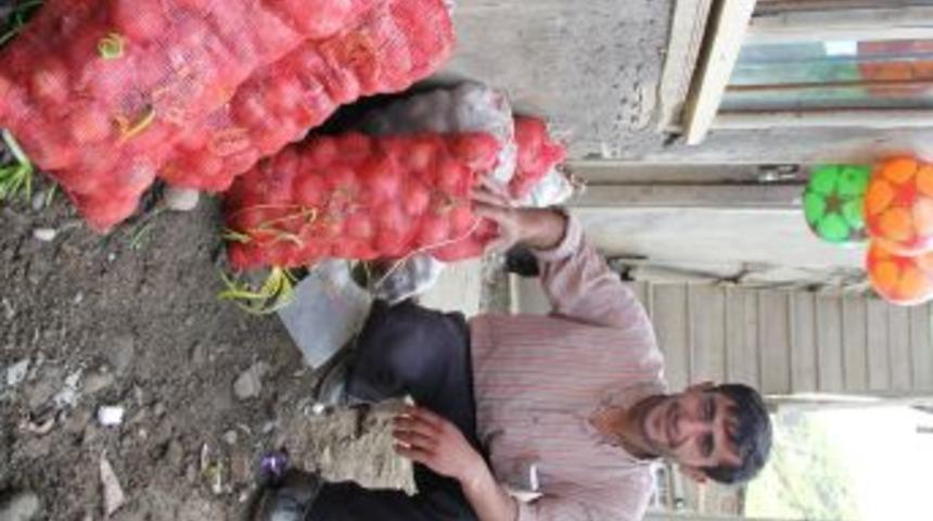 Soğanlar Elde Kalınca