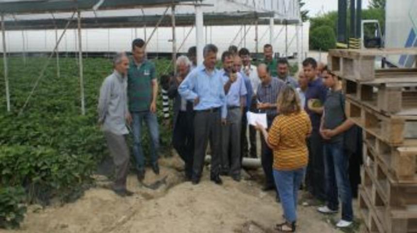 Silifkeli &Ccedil;ilek Yetiştiricileri, Deneyimlerini Batmanlı &Ccedil;ift&ccedil;ilerle Paylaştı