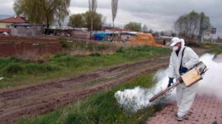 Kocasinan&rsquo;da Haşereyle M&uuml;cadele I&ccedil;in 400 Bin Lira Harcanacak