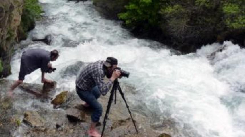 Gizli Cennetin G&uuml;r Sesi: Tomara