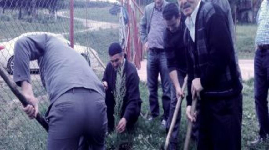 D&uuml;zce'de Ağa&ccedil;landırma Yaygınlaşıyor