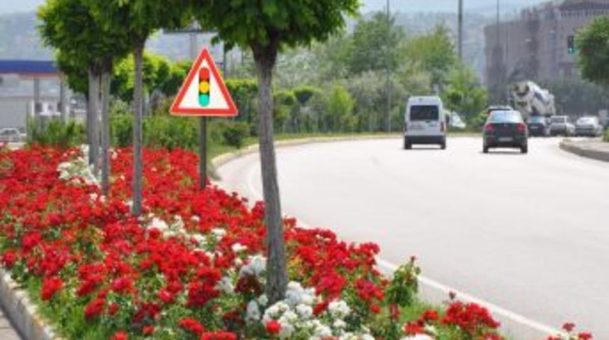 Karab&uuml;k Caddeleri &Ccedil;i&ccedil;ekleri İle G&ouml;z Kamaştırıyor