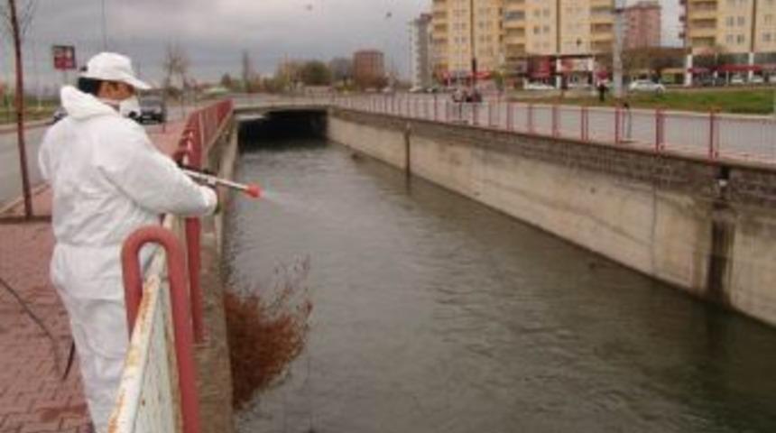 Kocasinan Sinek Mücadelesi'ne Başladı