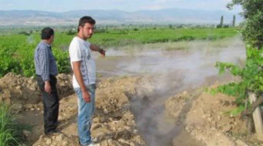 Jeotermal Su Fışkırdı Bağlar Kurudu