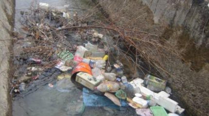 Poşet Ve Pet Şişeler, Çevre Kirliliğine Neden Oluyor