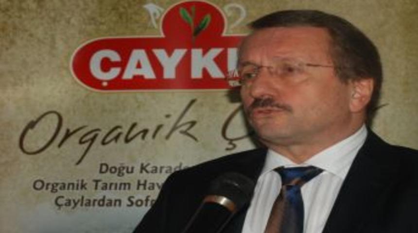 Ka&ccedil;ak &Ccedil;ayda B&uuml;y&uuml;k Tehlike: Pestisit