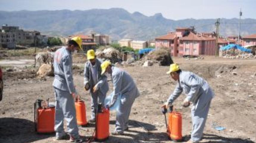 Şırnak Belediyesi İla&ccedil;lama &Ccedil;alışması Başlattı