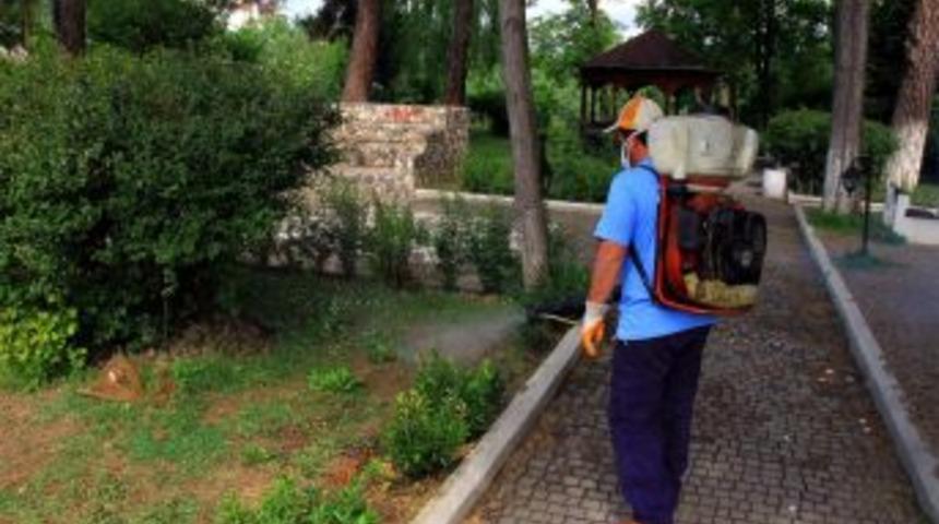 Belediyeden Keneye İla&ccedil;lı &Ouml;nlem