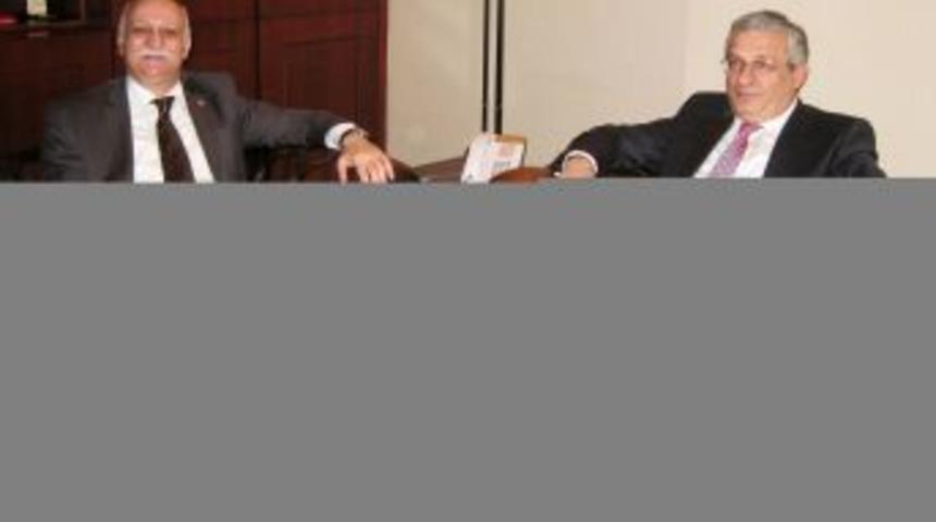 Plastik Borulara &Ccedil;evreci Alternatif