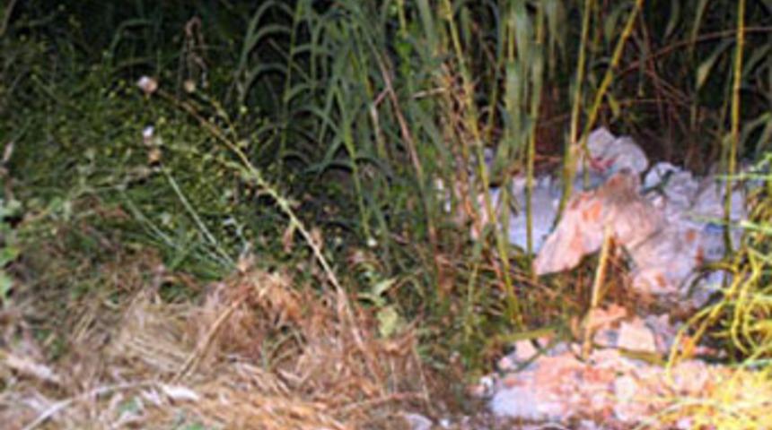 &Ouml;ld&uuml;r&uuml;p, arsaya g&ouml;md&uuml;