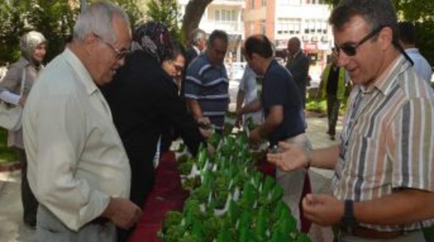 Merkezefendi 2. Geleneksel Tıp Festivali Sona Erdi